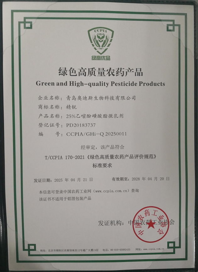 image (13).png